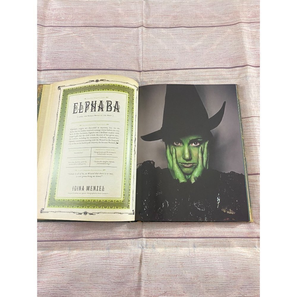 Wicked: The Grimmerie Broad Way Musical Hard Cover - Picture 9 of 11